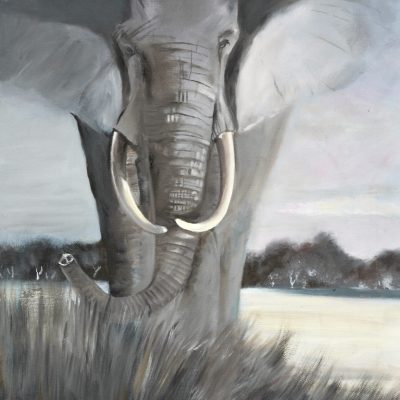Monochrome Elephant-Oil, 46x61cm
